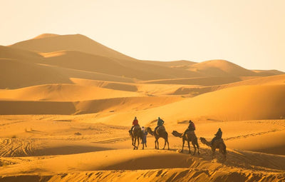 Die Wüste de Merzouga - Marokko