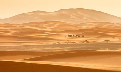Travels in the Sahara Desert by departure from Marrakech